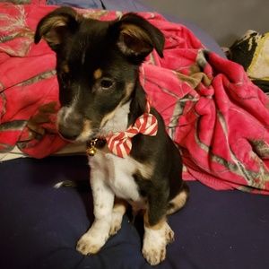 Meet your Posher, Katrina